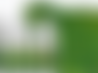 🌱 Recomendação de Adubação para Grama Amendoim Raiz Nua (Pré e Pós-Plantio)