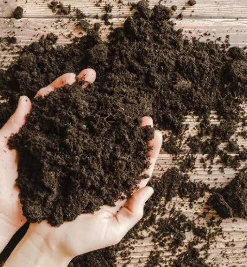 Miniatura: Terra Vegetal Adubada Organomix Sc 4,5Kg 8L