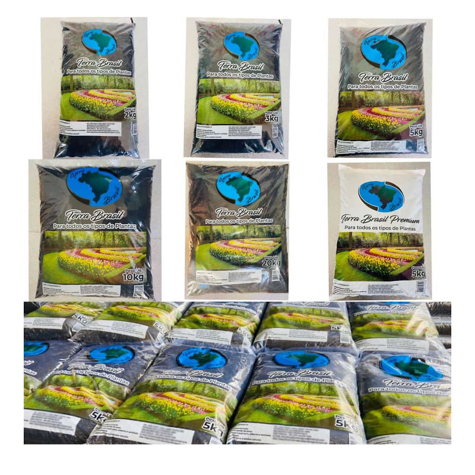 Miniatura: Terra Vegetal Preta Terra Brasil Sc 2Kg 3,2L