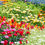 Miniatura: Fertilizante Forth Fosfito (Fosway) 1lt