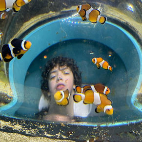 PHOTO-2022-03-18-13-43-26 2.jpg