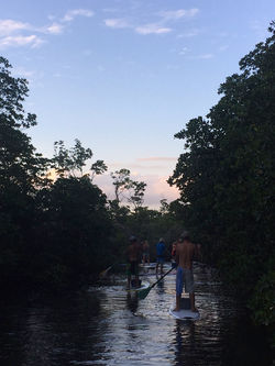 Paddleboard Fiji
