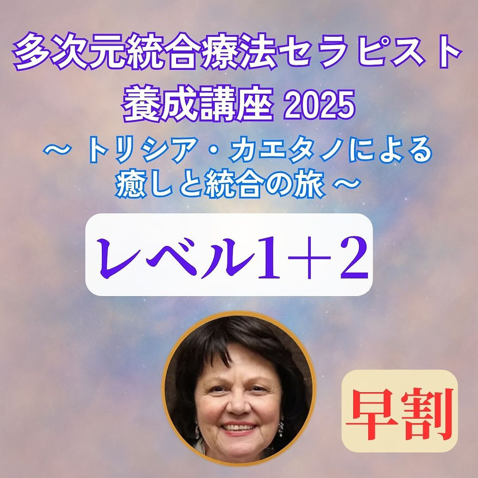 【早割】レベル1+2 多次元統合療法 セラピスト養成講座(全10日)