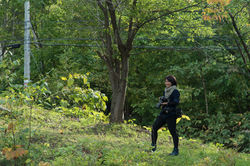 OPEN GATE2017 9_17Y3