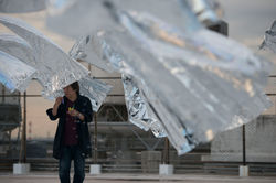 OPEN GATE 2016 10/10p