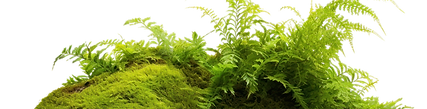 HYDY永續生活月