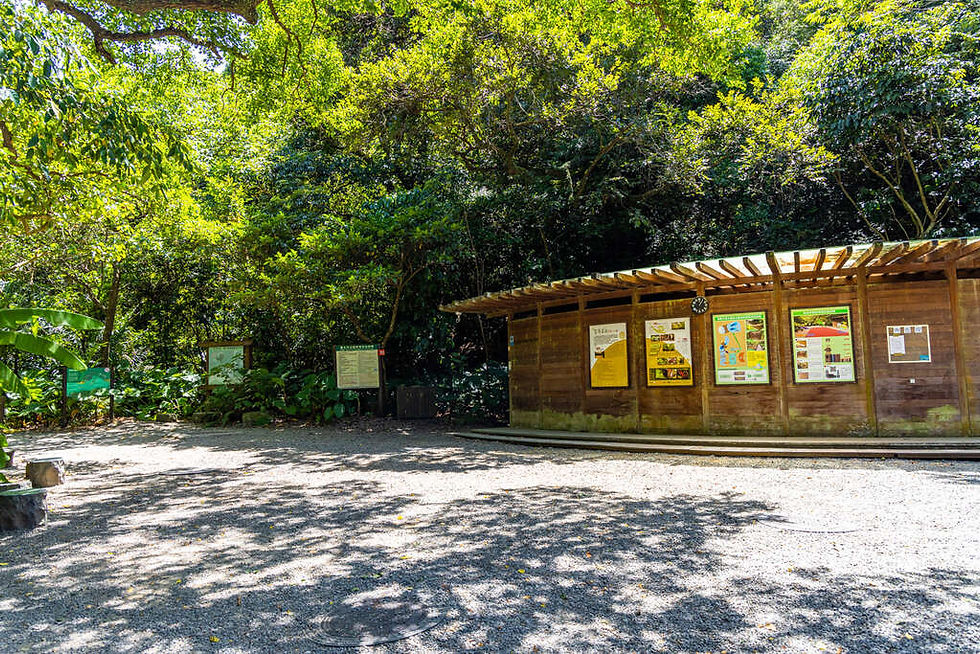 都市人的生態探險體驗：富陽生態公園之旅