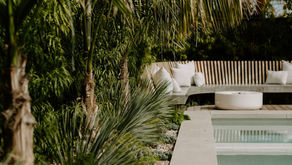 How to Budget for a Landscape Project: Where to Save and Where to Splurge