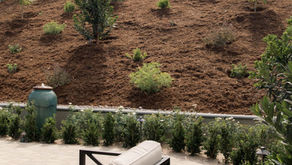 Sloped Yard Landscaping Ideas (Without Overcomplicating It)