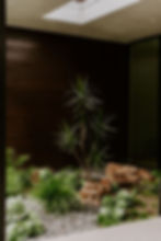 Shade garden featuring a structural tree with lush green plants, rocks, and pebbles against a dark wood wall. Natural light from skylight above creates a serene mood.