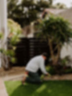 Landscaper is tending to planter bed with a large aloe tree