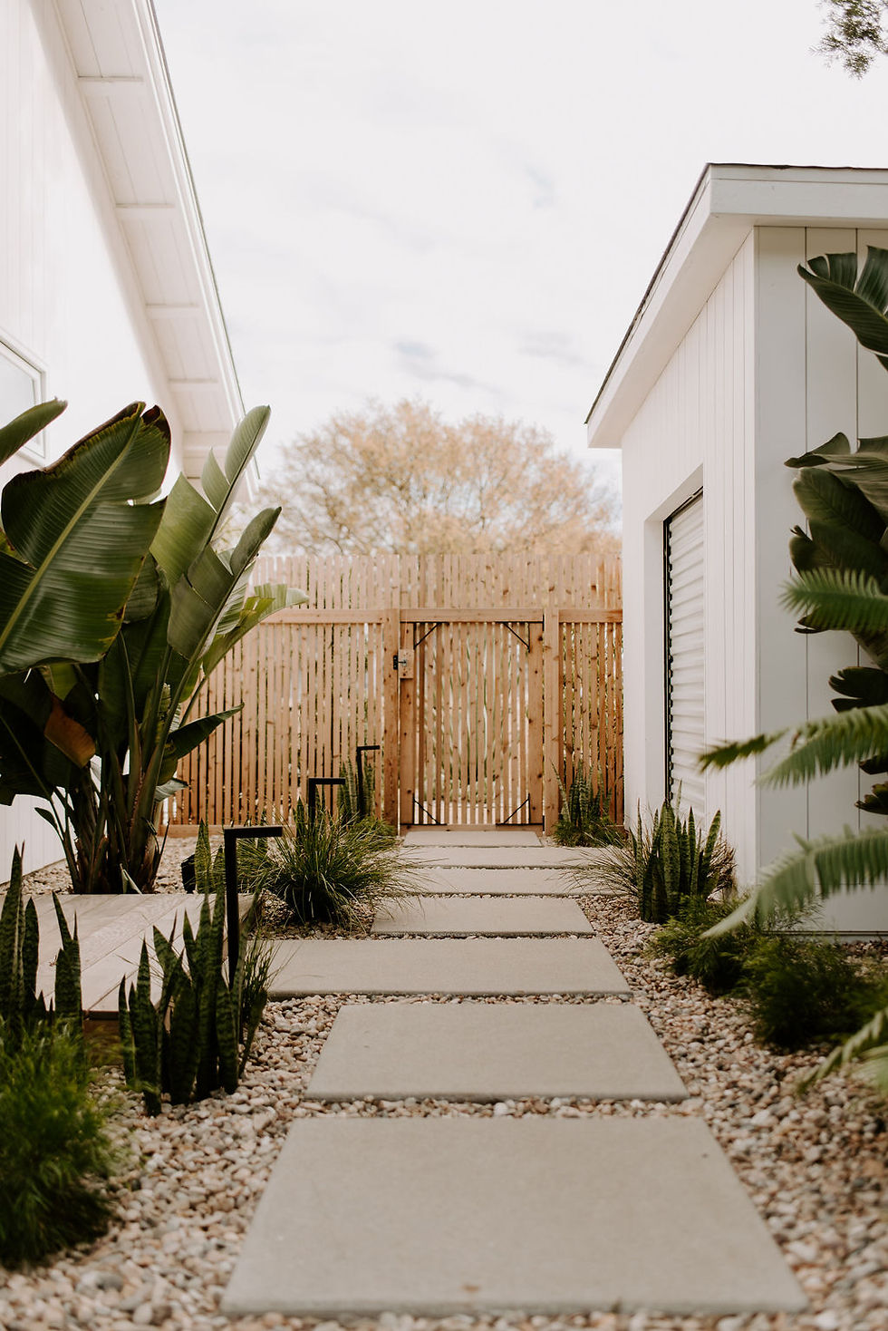 Modern concrete walkway with a white surfboard shed on the right, outdoor shower with wood deck on the left and lots of tropical plants.