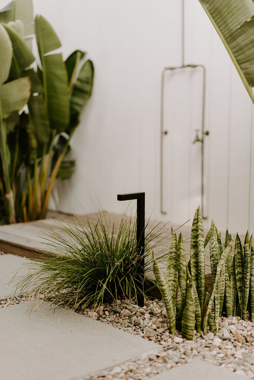 A modern black landscape light and plants at the base of an outdoor shower deck