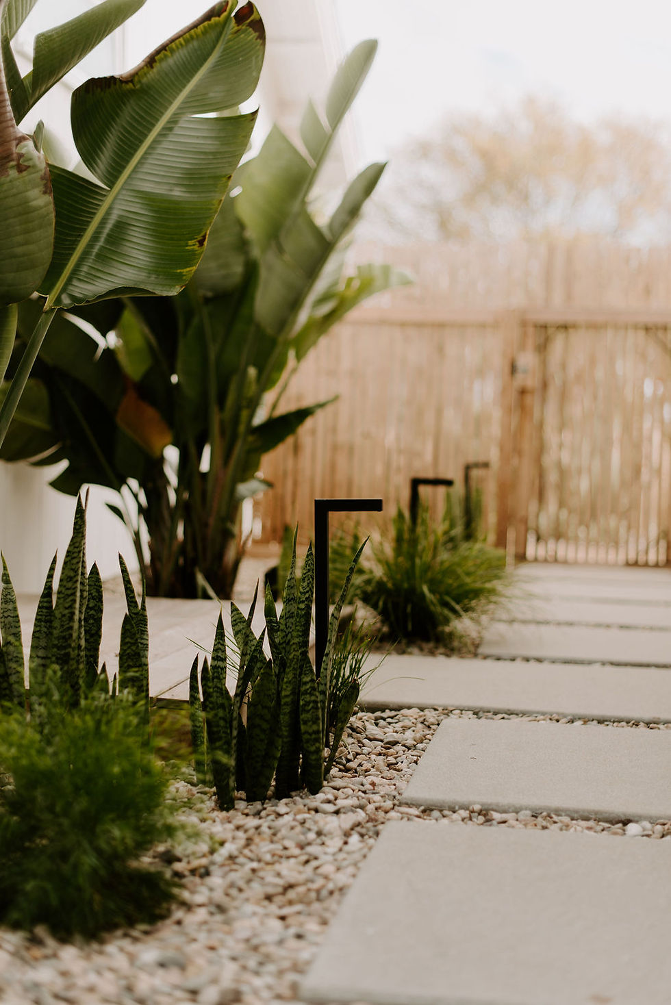 Modern black landscape lights lining a pathway with plants, palms and rock.
