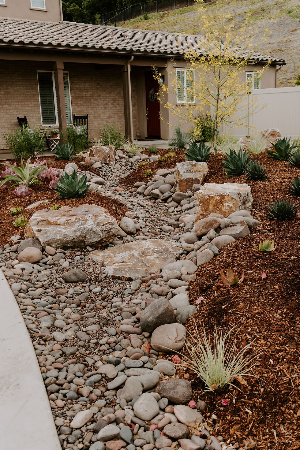 Drought-tolerant garden with rocks, succulents, a young vibrant palo verde tree, and mulch. Front of a beige house with red door and brown roof tiles.