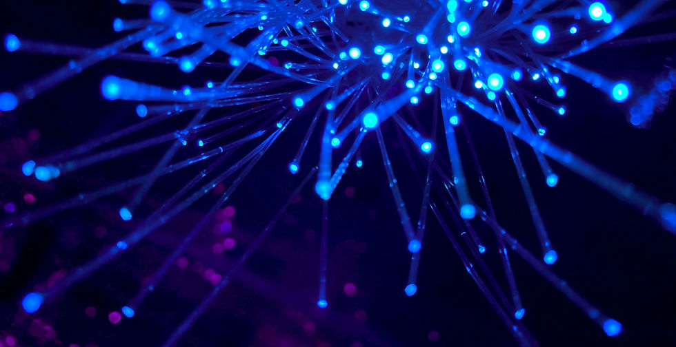 Is Your AI a Genius or a Savant? Using Adaptive Testing to Find Out