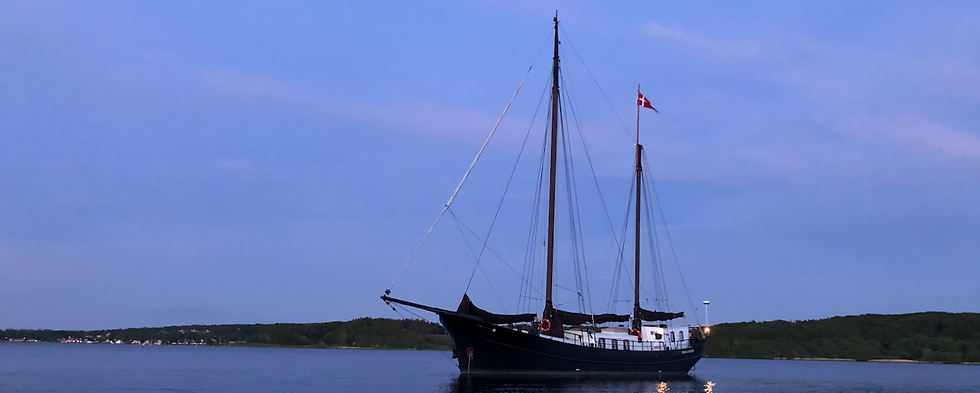 Skærmbillede 2021-02-13 kl. 18.45.20.png