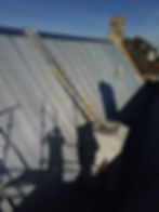 Fremantle Arts - Colgans 03.JPG