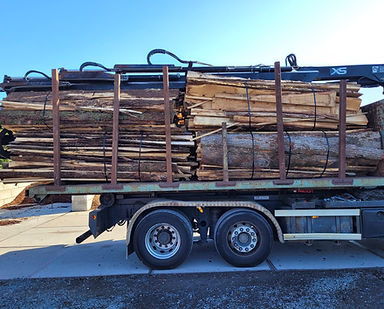 WhatsApp Image 2026-03-10 at 08.43.01.jpeg