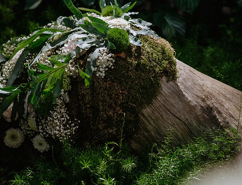 NATURAL LIVING - Floraliën 2026-141.jpg