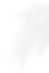 AdobeStock_1219396593.png