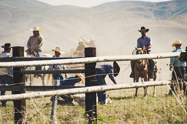 cowboys-riding-a-horse-near-gray-wooden-