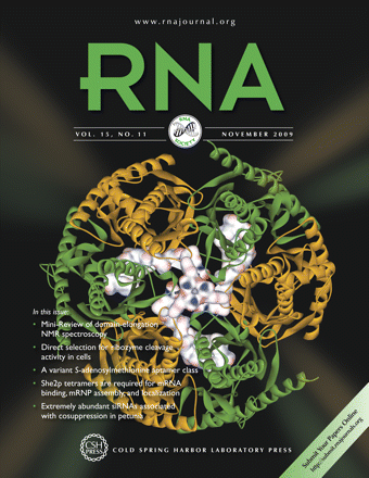 Crystal structure of the Pyrococcus abyssi exosome RNase PH complexed with a single-stranded 10-merpoly(A) RNA (Protein Data Bank code: 2po1; Navarro MVAS, Oliveira CC, Zanchin NIT, Guimaraes BG. 2008. Insights into the mechanism of progressive RNA degradation by the archaeal exosome. J Biol Chem 283: 14120–14131.