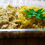 Miniatura: Arroz integral com açafrão + frango desfiado (200 gramas)