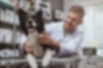 AdobeStock_267426879.jpeg