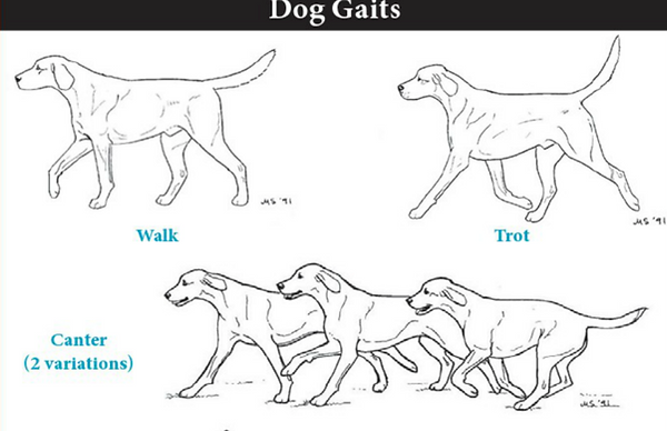 Screen Shot 2020-03-01 at 4.48.30 AM.png