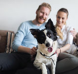AdobeStock_181456932.jpeg