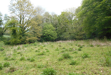 DSCN1985.JPG