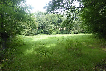 Crowhurst Meadow.JPG