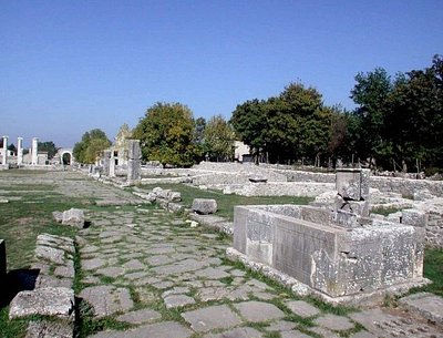 la-fontana-del-grifo