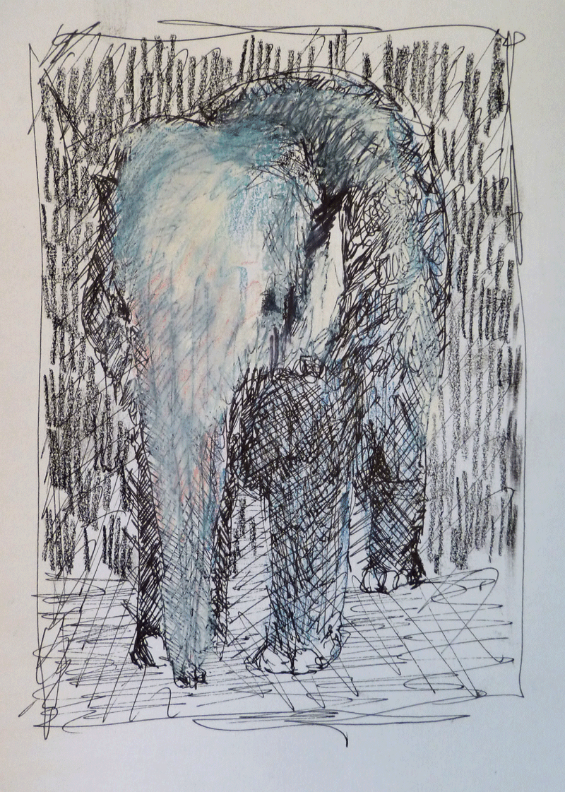 Cambodge_elephant_bleu.gif