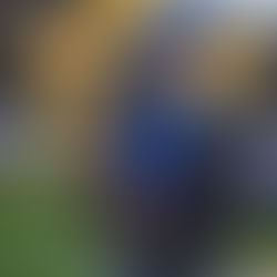 Sophie confronts the elements