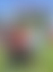 This weekend 10 was the magic number