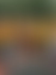 Back to school, back to half marathons