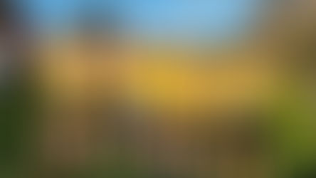 Stragglers tackle Parliament Hill