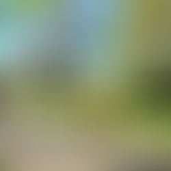 Stragglers revel in SGP and Guernsey sun