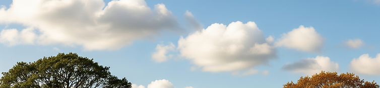 river-relay-banner.png