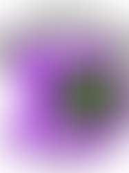 Entries Open for the Cabbage Patch 10