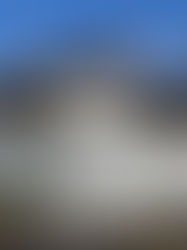 Fancy a Christmas Crawl?