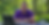 before its too late thumbnail .png
