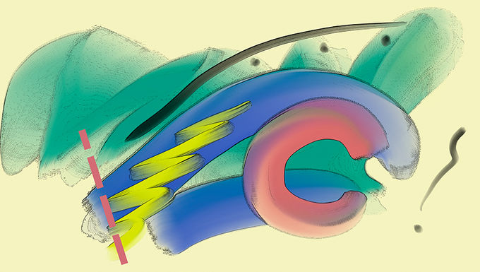 DBS1A-30x18.5-1650