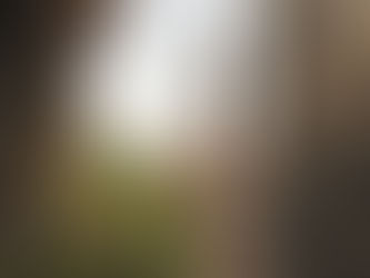 Cairo. Not for the faint of heart.