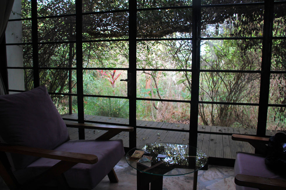 Picture from our room. When I say we are in the wilderness, believe it!