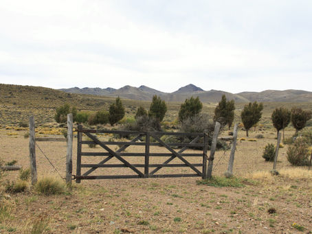 The long erratic road.