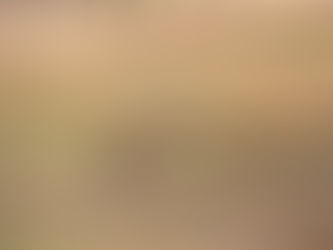 A 450-kilometer daytrip.