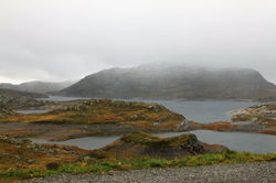 Hardangervidda National Park